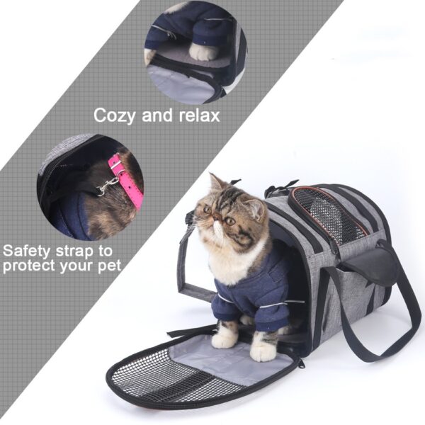 Paws & Pals Voyager™ - Folding Pet Travel Carrier